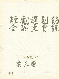 短剧迟到的真相全集免费观看