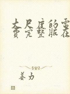 大尺度的电影免费完整版在线观看