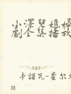 小泽儿媳妇电视剧全集播放