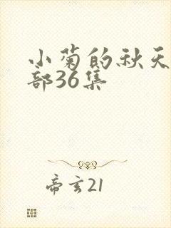 小菊的秋天第三部36集封面