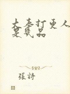 大奉打更人魏公是几品