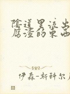 阴道里流出像豆腐渣的东西是什么原因