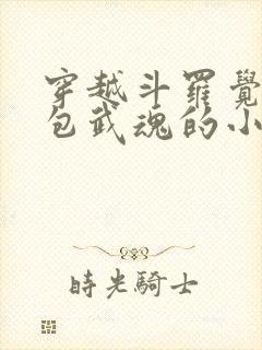 穿越斗罗觉醒面包武魂的小说