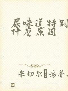 尿味道特别大是什么原因