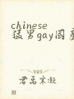 chinese猛男gay国产video网站