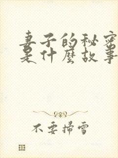 妻子的秘密讲的是什么故事