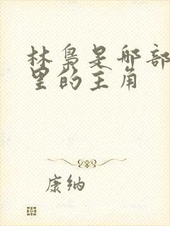 林枭是哪部小说里的主角