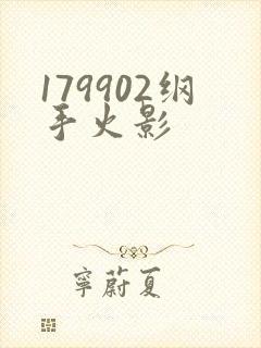 179902纲手火影