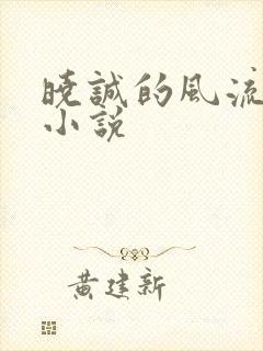 晓诚的风流人生小说