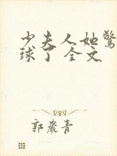 少夫人她惊艳全球了 全文