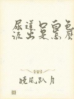 尿道口白色液体流出是怎么回事