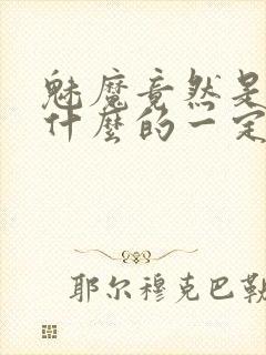 魅魔竟然是勇者什么的一定是搞错了封面