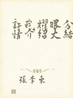 许我耀眼分集剧情介绍大结局封面