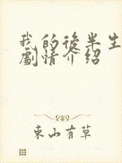 我的后半生剧情剧情介绍封面