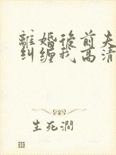 离婚后前夫总想纠缠我高清