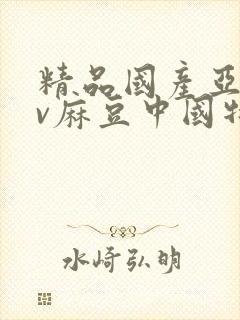 精品国产亚洲av麻豆中国特色