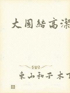 大团结高洁封面