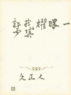 许我耀眼一共多少集