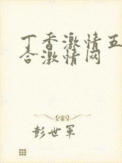 丁香激情五月综合激情网封面