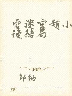 雪迷宫赵小光最后结局封面