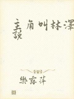 主角叫林泽的小说