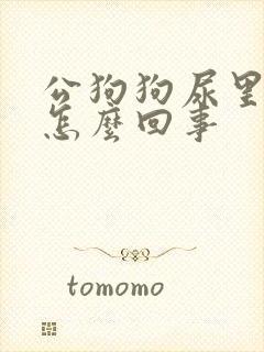 公狗狗尿里带血怎么回事封面