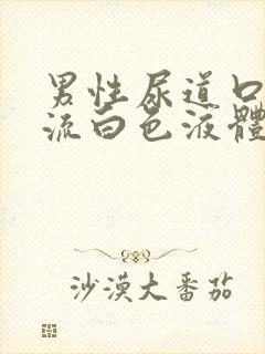 男性尿道口红肿流白色液体封面