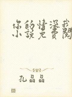 你的情深我不配小说免费阅读