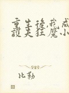 重生后,我成了护夫狂魔小说封面