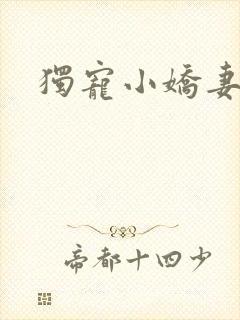 独宠小娇妻封面