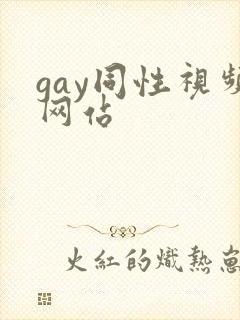 gay同性视频网站