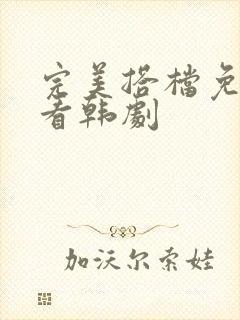 完美搭档免费观看韩剧