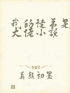 我的徒弟是诸天大佬小说封面