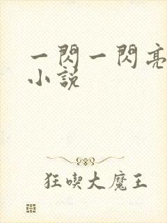 一闪一闪亮星星小说