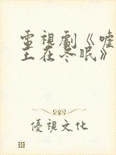 电视剧《嘘,国王在冬眠》