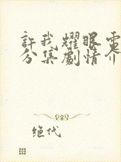 许我耀眼电视剧分集剧情介绍