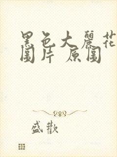 黑色大丽花真实图片 原图