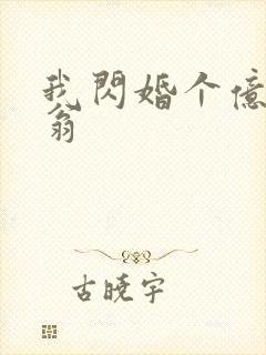 我闪婚个亿万富翁