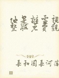 他是谁电视剧完整版免费观看高清