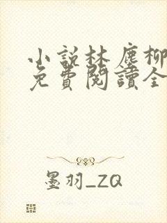 小说林尘柳如烟免费阅读全文