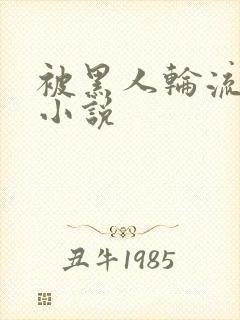 被黑人轮流干的小说