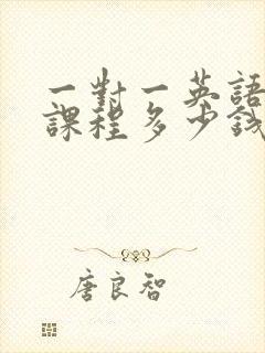 一对一英语线上课程多少钱