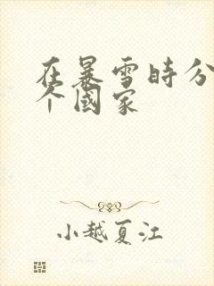 在暴雪时分在哪个国家