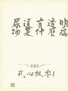 尿道有透明分泌物是什么病