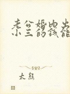 老公婚内出轨给小三的钱能追回来吗封面