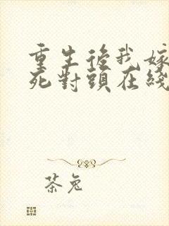 重生后我嫁给了死对头在线看