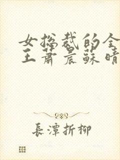 女总裁的全部兵王萧晨苏晴