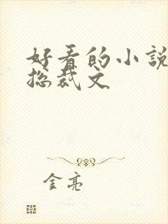 好看的小说推荐总裁文封面