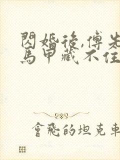 闪婚后,傅先生马甲藏不住了在线观看封面