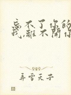 忘不了你的人是我,离不开你的人是我封面